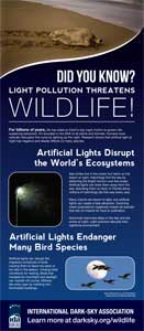 Wildlife Poster Display