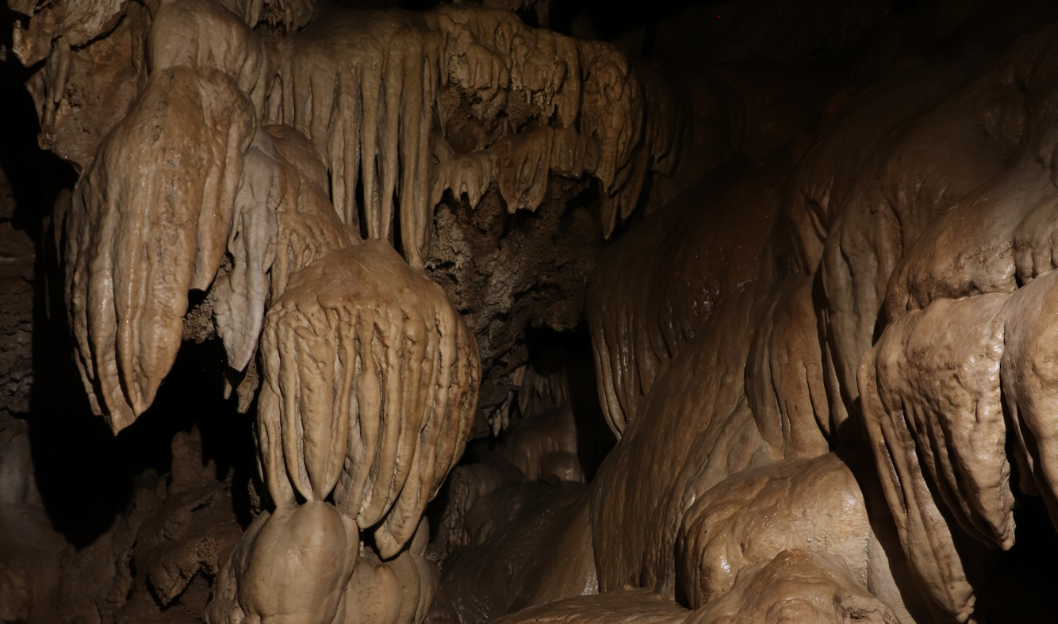 Spectacular draperies decorate the cave walls of the main cave trail at Oregon Caves National Monument and Preserve.